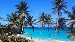 Plan Ahead And Book Our Best 2020 2021 Flight And Holiday Deals British Airways