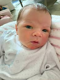 MS NOW flickers to life