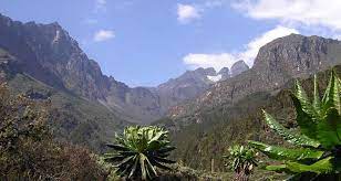 The rwenzori mountains national park covers nearly 100,000 ha in western uganda and comprises the main part of the rwenzori mountain chain, which includes af. Mount Rwenzori National Park Uganda National Parks Uganda Safari