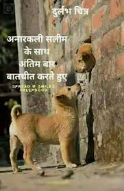 Quotes Funny Humor Hilarious Pets 48 Best Ideas Fun Quotes Funny Sarcastic Quotes Funny New Funny Jokes