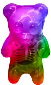 Download 1ghtcrawlers Gummy Bear Meme Transparent Png Free Png Images Toppng