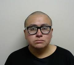 hairybird, tyler matthew