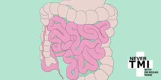 Irritable bowel syndrome is a gastrointestinal disease that is taking place in the long term. Ibs Flare Up What Happens In 24 Hours