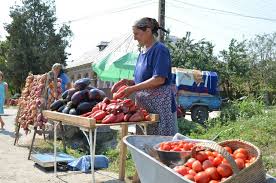 256 articole despre fonduri nerambursabile. Cum Pot Accesa Fonduri Europene Cei Din Mediul Rural Gazeta De Sud