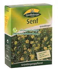 Nur hat der gesetzgeber die änderung der klimatischen. Senf Saat Als Grundung Im Garten Und Auf Dem Acker