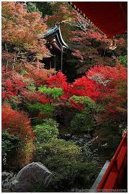 Top Things That I Want To See In Kyoto Jardin Japonais Japon Paysage Jardin Zen
