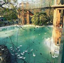 Birds Aviary Lakeview Park Islamabad Places Around The World Beautiful Places Islamabad Pakistan