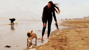 We did not find results for: Om Relaxat De Succes Ramona Guiman At Corp Actiune Emotie Si Minte