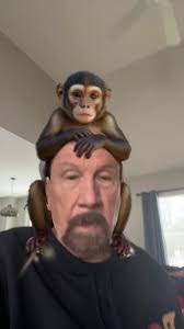 KC's Rib Shack it's the Tuesday night place to be in Manchester NH. Tonight  our featured artist is Evan Goodrow the king of groove. This will be a fun  one with