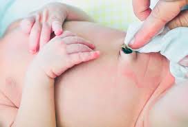 However, you might need to go back to sponge baths if your baby fusses a lot and simply doesn't like this new activity. How Long Does It Take For The Umbilical Cord To Fall Off