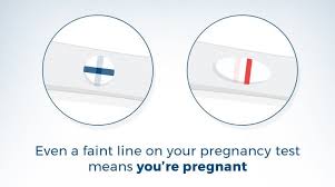 As soon as you become pregnant, your body begins producing hcg. Meaning Of Faint Line On A Pregnancy Test Clearblue