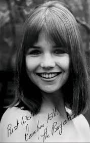 Tranquility Forest -- Images