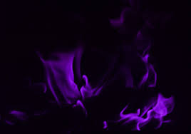 We did not find results for: Purple Fire Flames Fantasy Abstract Background Wallpapers On Desktop Nexus Image 479241