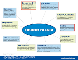 diet for fibromyalgia