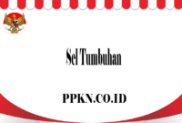 Check spelling or type a new query. Perbedaan Sel Hewan Dan Sel Tumbuhan Brainly Archives Ppkn Co Id