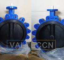 DN350(14 Inch) Lug Type Butterfly Valve PN10 Supplier and ...