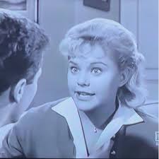 Wally's Potential Marriage to Julie Foster in Leave It To Beaver