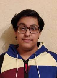 Ciudad de México en la 25ª OMI