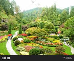 The garden of eden arboretum & botanical garden is open daily from 8:00 a.m. Garden Eden Image Photo Free Trial Bigstock