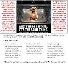 It has certain advantages like grieving alone without showing the emotions in public. Humane Society Hastings Prince Edward Would You Put Your Dog In Your Oven Of Course Not Then Why Expose Them To Fatal Temperatures By Leaving Them In A Hot Vehicle
