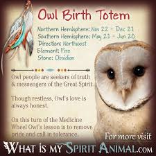 Owl Totem Native American Zodiac Signs Birth Signs Native American Zodiac Signs Native American Zodiac Native American Astrology