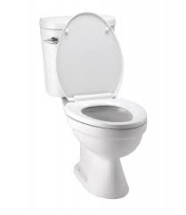 I accidently flushed 2 unflushable wipes down the toilet, but the toilet is not clogged or anything. Can You Still Flush A Toilet When The Water Is Shut Off Reichelt Plumbing