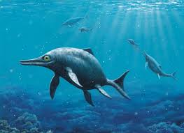 The mystery fish had finally been identified as none other than a coelacanth, a prehistoric creature thought to have gone extinct 60 million years ago. How Giant Marine Reptiles Terrorized The Ancient Seas Nature