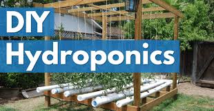 His post on nft builds definitely inspired me to build one myself=) if you like diy projects, this is definitely a fun one. 7 Simple Diy Hydroponics Plans For Incredible Yields That Anyone Can Follow All Under 100 Indoorgrowtech