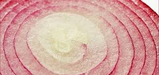 Zwiebelauflage Hausmittel Fur Kinder Bei Insektenstichen Insektenstich Bienenstich Hausmittel Hausmittel