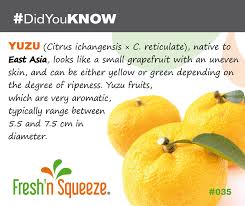 Didyouknow The Citrus Fruit Named Yuzu Is Native To East Asia Looks Like A Small Grapefruit With An Uneven Skin Can Be Fruit Names Uneven Skin Citrus Fruit