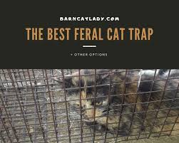 1,133 humane cat traps products are offered for sale by suppliers on alibaba.com, of which pest control accounts for 21%, animal cages accounts for 6%. The Best Feral Cat Trap Other Options The Barn Cat Lady