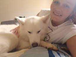 met a white german shepherd with two different colored eyes today doin a  bork