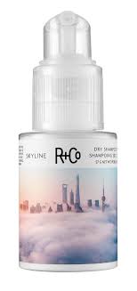 R Co Skyline Dry Shampoo Powder Shampoo Powder Dry Shampoo Powder Dry Shampoo