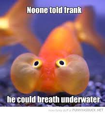 Someone Tell Him Fishing Humor Best Friend Quotes Funny Fish