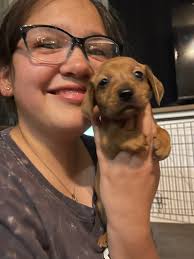 Coker,AL/USA/April 19/11:50am