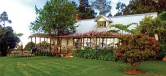 Hilltop Hideaway Home