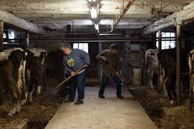 How much money do farmers make. American Farmers Are In Crisis Here S Why Time