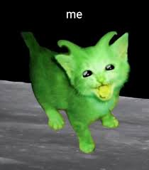Alien Cat Ble Ble | TikTok