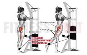 This exercise trains the glutes through their hip extension function. Standing Cable Hip Extension Glutes Fitness Volt