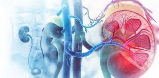 Ostial renal artery stent placement for atherosclerotic renal artery stenosis in patients with coronary bavishi c., peter w de leeuw , messerli f. Treating Accessory Arteries May Be Important In Renal Denervation Tctmd Com