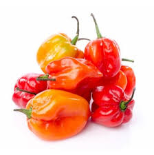 Indian and bangladeshi curries use dried curry powders, but thai, vietnamese and laotian curries use pastes instead. Hot Pepper Habanero Scotch Bonnet Fresh Pepper Africshopping