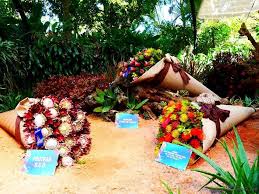 Colombie Medellin Fete Des Fleurs 2017 Fiesta De Los Flores Festival Of Flowers Orchidees Orquideas Medellin Fleurs Orchidee