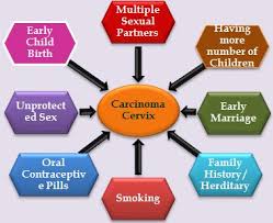 Image result for cervical cancer causes images