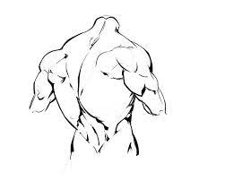How To Draw The Torso: Back View