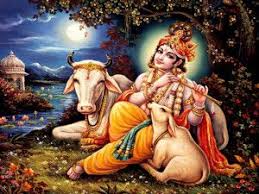 lord krishna with cow photos high resolution wallpapers wide hd entertainbaba lord krishna wallpapers lord krishna images krishna wallpaper lord krishna with cow photos high