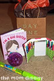 Dayone Big Sister Gifts New Baby Products Big Sister
