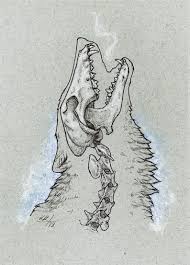 Howling Wolf Skeleton Original Drawing A6 Skeleton Drawings Skull Drawing Sketches Wolf Sketch