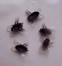 Flying a parachute for real is not a possibility for everyone. Bugs Theme Prekinders