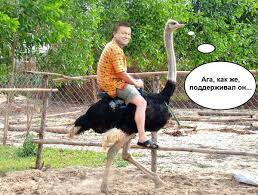 Янукович ежемесячно выводил 2 млрд гривен из Днепропетровщины, - замгенпрокурора Енин - Цензор.НЕТ 6194