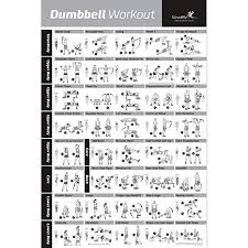 Dumbbell Workout Exercise Poster Now Laminated Strength